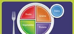 Volume 19 Nutrition & Wellness FCS Lesson MyPlate For additional FREE lesson plans