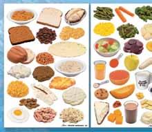 Objectives: Students will Utilize MyPlate food guide to gain updated nutritional
