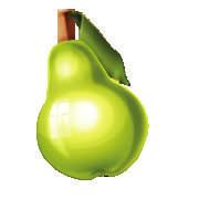 Spell the word first: p - e - a - r The trainer pronounces the whole word: pear Then repeat the word: pear a typically rounded,