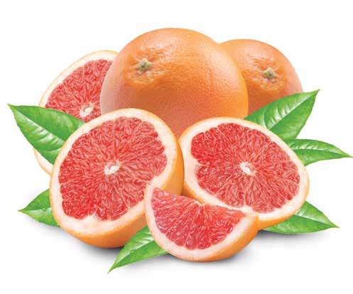 Oranges 1 Lb.