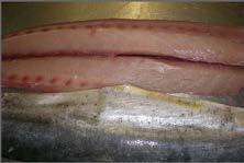 Seafood December 23rd to December 27th Large Mahi, Skin on, PBO: These fish average 20 pounds and up in size and have consistently been the highest quality of any Mahi we have seen.