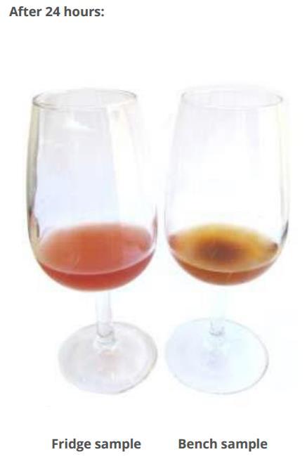 QUALITATIVE TEST FOR LACCASE: Add SO2 to the sample to give a TSO2 of 60 mg/l Pour 50 ml of the sample in 2 wine glasses Cover each with a watch glass or petri dish Place one sample into a