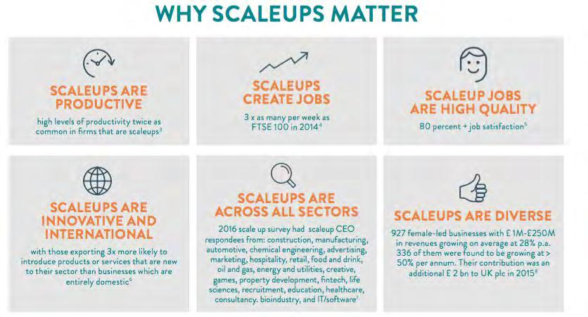WHY SCALEUPS MATTER SCALEUPS ARE PRODUCTIVE SCALEUPS ARE INNOVATIVE SACLEUPS ARE