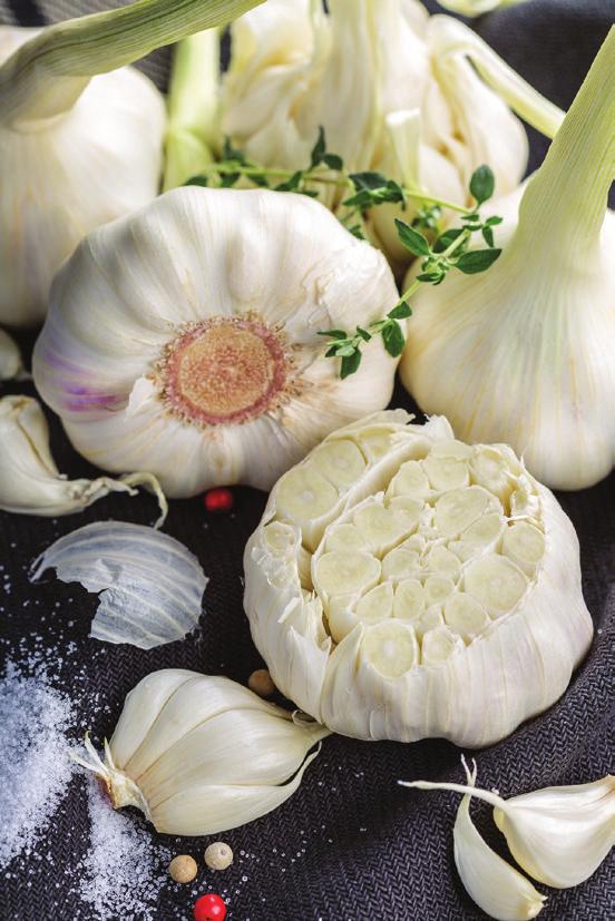 BASE TO PREPARE GARLIC SAUCE Concentrated garlic base, that can be reconstituted in a garlic
