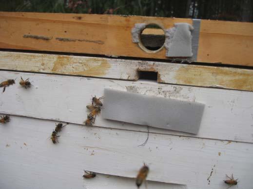 You will get moisture or (worse: H2O) in the hive and on the bees. Wet bees die regardless of health, dry bees can tolerate cold, lack of food (but not no food) and mites. Keep your bees dry.