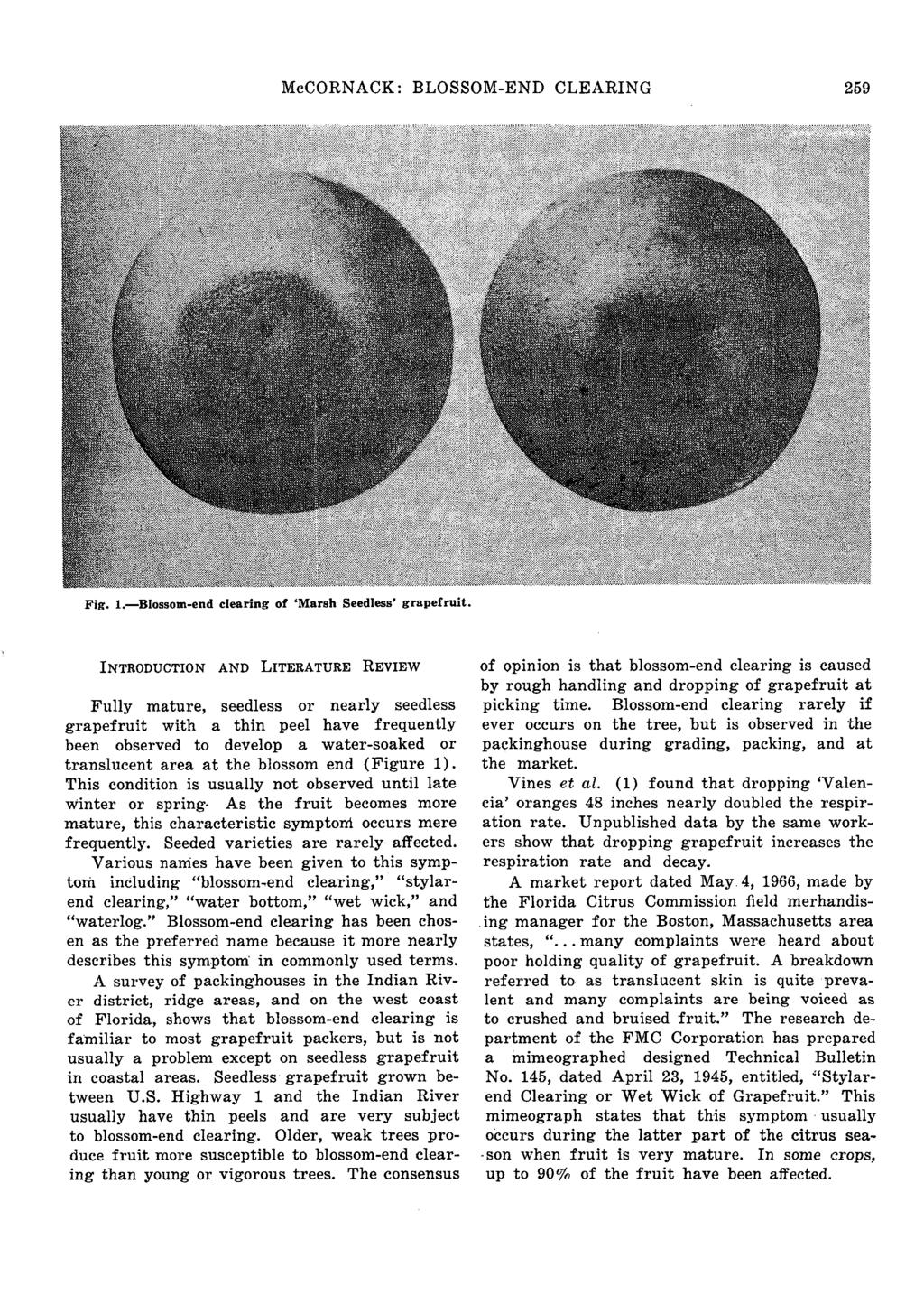 McCORNACK: BLOSSOM-END CLEARING 259 Fig. 1. Blossom-end clearing of 'Marsh Seedless' grapefruit.