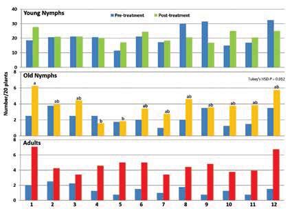 Table 2. Number of lygus nymphs (young and old) and adults per 20 plants before and after each treatment.
