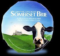 75 /round Somerset Brie Lubborn Somerset Brie is creamy with a mild, fresh flavour and a soft edible white rind.