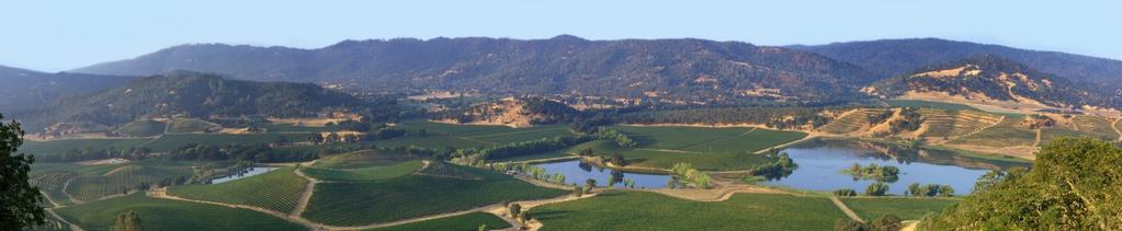 The Napa Valley Appellation Diversity one of the smallest yet most diverse wine