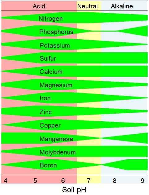 (phloem import) ph Juice ph is not very responsive to soil K + ( Malate ) Ca 2+ and K + compete for root uptake: Soil