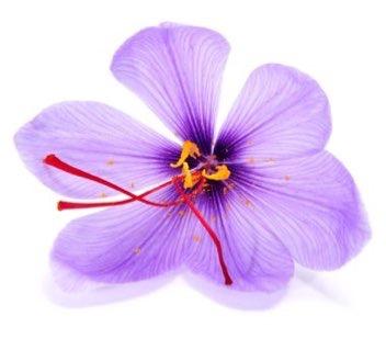 Saffron Uses and Benefits Food Saffron is used in many different recipes from luxury dishes to traditional foods.