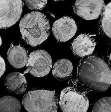 With the sourcing expertise of our onstaff certified foresters, we are able to have consistent supply.