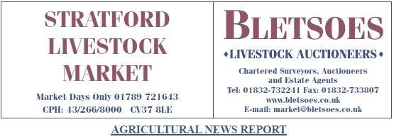 A Record Entry of over 3500 sheep entered at Stratford.