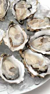 Types Of Seafood SHELLFISH OYSTERS ON THE HALF SHELL Our Empire s Treasure Wild-Caught in the USA Gulf Oysters on the half shell offer convenience and freshness unlike any other frozen oyster.