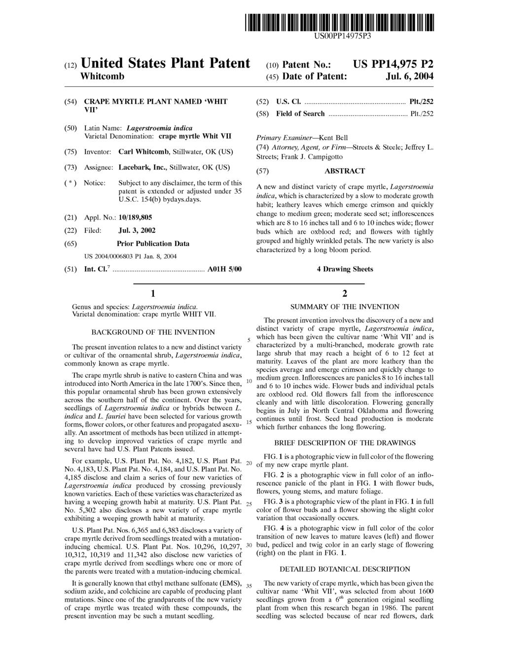 (12) United States Plant Patent USOOPP14975P3 (10) Patent No.: US PP14,975 P2 Whitcomb (45) Date of Patent: Jul. 6, 2004 (54) CRAPE MYRTLE PLANT NAMED WHIT (52) U.S. Cl.... Plt.