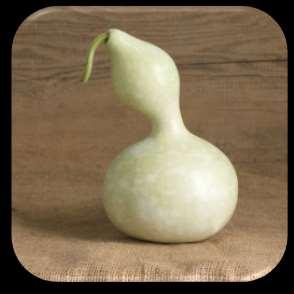 Birdhouse Gourd Lagenaria siceraria This is an incredibly prolific vining gourd with a larger, rounded end, a narrow neck, and slightly bulbed stem end.