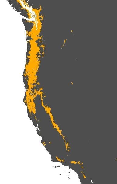 Results Figure 1 represents the observed range that the USGS has recorded for Oregon White Oak. This area spans approximately of 127,577.