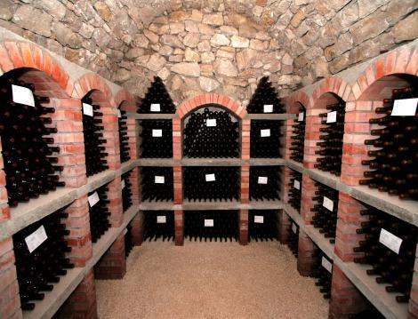 14:30 depart to Branesti village to explore the future underground stone hotel Stone Epoch and visit the winery Branseti where you ll feel the atmosphere