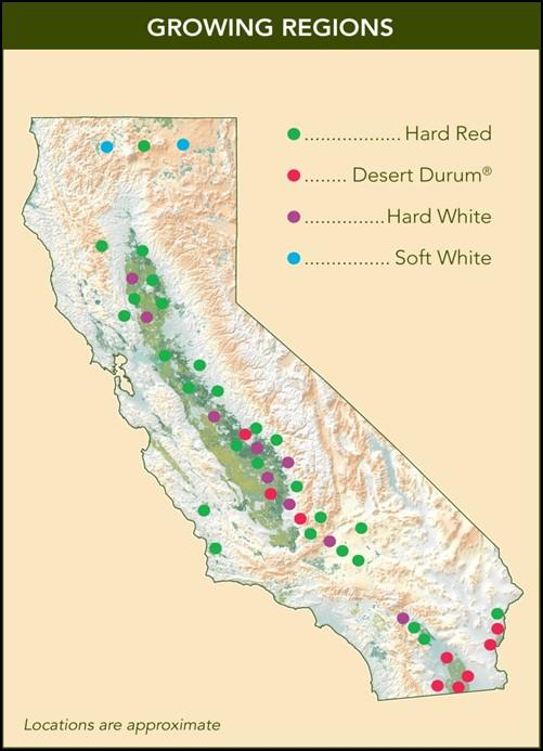 2018 HR / HW Crop Quality Report 2 California Wheat California's wheat growing regions are defined by climate, value of alternative crops, and distinct differences in variety selection.