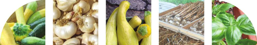 summer squash with basil pistou 5 2 cloves garlic cup basil 2 tablespoons olive oil Pinch salt Pinch pepper 4-6 small yellow summer squash and/or zucchini, thinly sliced Juice of 2 lemon optional 2