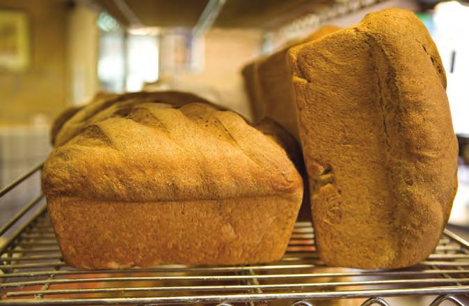 32 DAILY HARVEST BAKERY & DELI COOKBOOK Stone-Ground Whole-Wheat Bread 2 cups hot water, about 0 degrees /2 cup honey or agave* 5 cups freshly milled whole-wheat flour 3 /2 tsp.