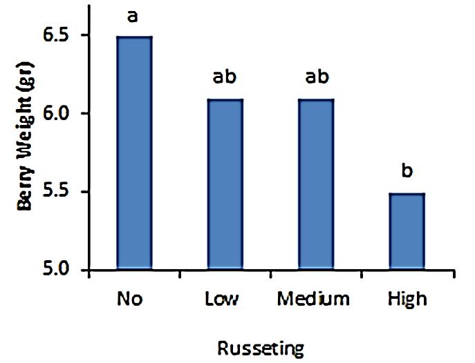 Rust Stains level in relation to berry s
