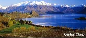 Establishing Wine Sub-regions is Currently in Vogue (in the New World ) New Zealand Hawke s Bay = 5 Central Otago = 7 Ontario (Canada)
