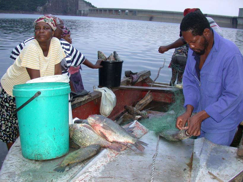 Defining fisheries Fisheries: