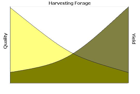 Forage Harvest
