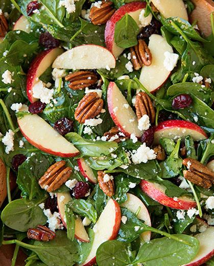 Apple Cranberry Pecan Salad -Annette s Favorite- ingredients: (serves 4) 6 cups baby spinach 1 granny smith apple, thinly sliced 1/2 cup pecan halves 1/3 cup pomegranate arils 1/3 cup dried