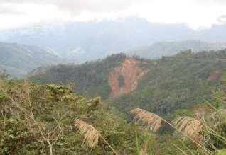 PNG Small-holder coffee producer profile PNG produces 600,000 tonnes of coffee p.a.; supports 2.