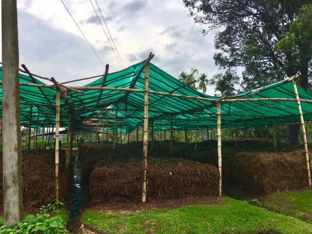 The West Jalinga experience establishes that commitment to the environment and product quality goes a long way in economic and social sustainability.