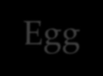Egg-laying sites