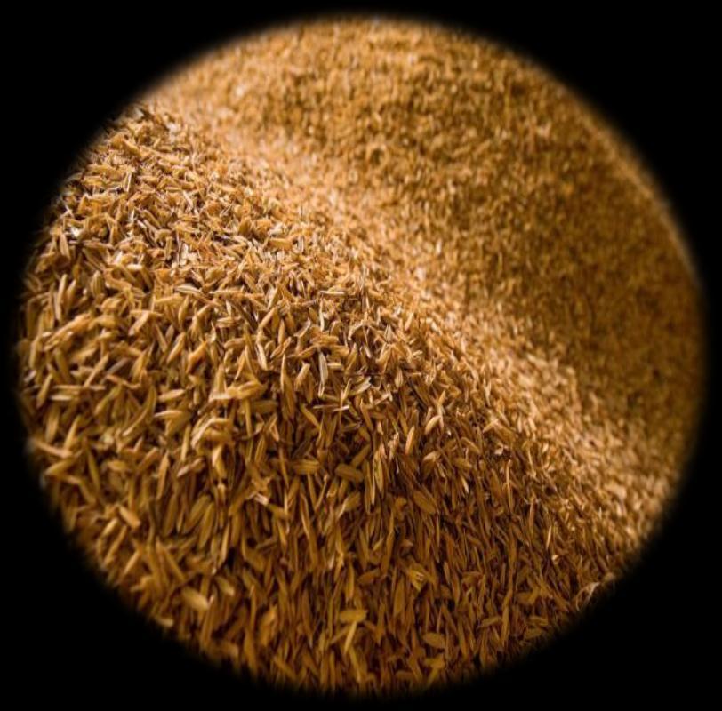 Global production of rice is approximately 580 million