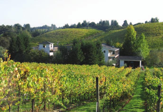 Gleason, Smith and Foster are in the process of developing a price index for the domestic real estate market that will establish a benchmark for wine grape growers and vineyard owners for average