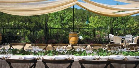 Host a lunch, dinner, large family or corporate celebration while taking in the views of surrounding hills and vineyards.