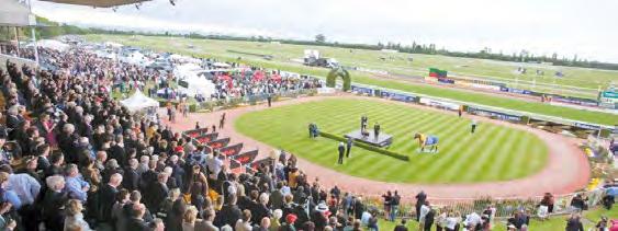 Opening Day AL BASTI EQUIWORLD NZ 2000 GUINEAS DAY SATURDAY 10 NOVEMBER EVENT OVERVIEW $12 GENERAL ADMISSION TICKET Early bird purchase price, $15 on the day Includes entry to course and access to