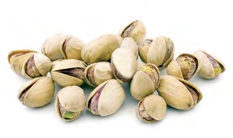 Pistachio A trial on the pistachio variety Kerman on Atlantic rootstock was conducted in Merced County, California.