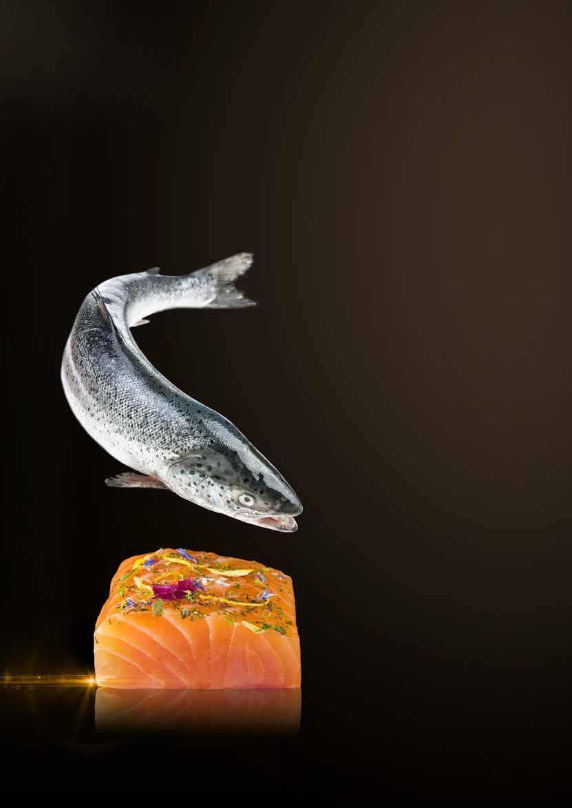 The premium Westerwald salmon smoke house factory The Vidal product range Traditionally handcrafted finest smoked fish products Innovations Page 3 Premium loin