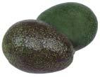 Mexican Extra Large Hass Avocados