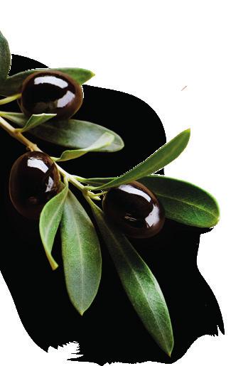 Tradičné grécke nátierky / Traditional greek spreads 100 gr Tzatziki 2,90 (7) 100 gr Melitzanosalata nátierka z údeného baklažánu / smoked eggplant paste 4,50 100 gr Paté zo zelených olív s mandlami
