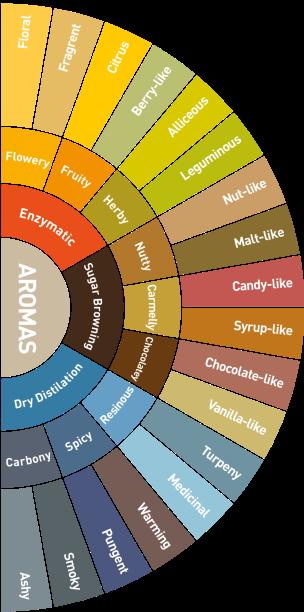 Flavour influencing factors Type of coffee: Robusta: stable cream, intense flavour, more