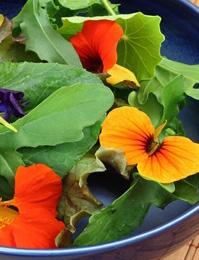 Edible Flowers Can you spot calendula, nasturtiums and marigolds? When to pick? Pick when the blossom are fully bloomed. How to pick? Gently pinch stem right below blossom.