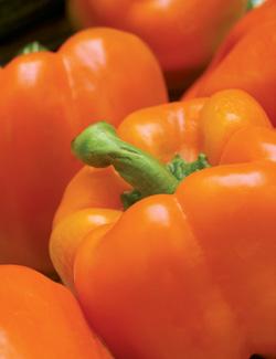 Can you spot peppers? Sweet Peppers When to pick? When fruit is full color. How to pick?