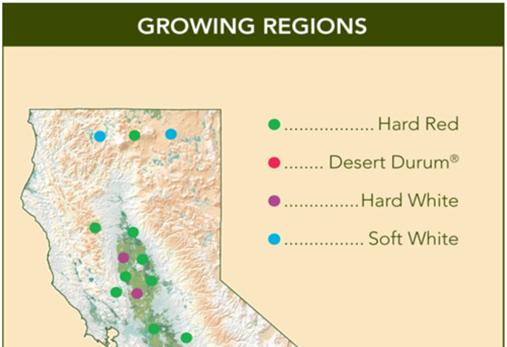 2017 HR / HW Crop Quality Report 2 California Wheat California's wheat growing regions are de ined by climate, value of alternative crops, and distinct differences in variety selection.