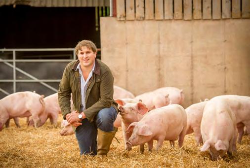 99 per kilo Cut from the eye of the meat, this is a premium steak We re proud to work with Devon pig farmers Tom Lockwood (pictured) of Lashbrook Farm in Talaton, and Andrew Freemantle of Kenniford