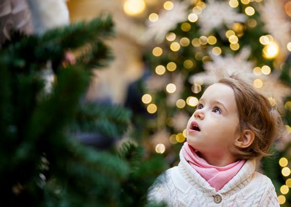 FESTIVE Events AT DARTS FARM FESTIVE Events AT DARTS FARM Join us for feasting, shopping and to learn new skills this Christmas SANTA S GROTTO From