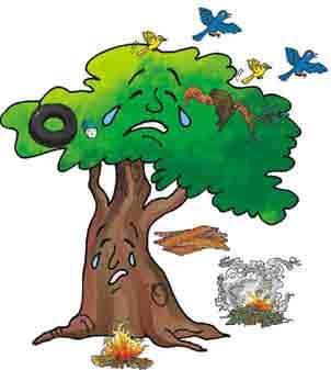Reading is fun 1. Name the tree that the acorn grows into. 2. What things does a seed need to grow? 3.