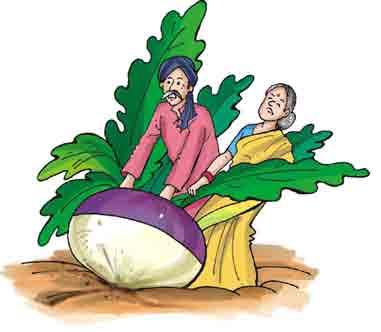 he old man and the old woman pulled and pulled. But they could not pull up the enormous turnip.