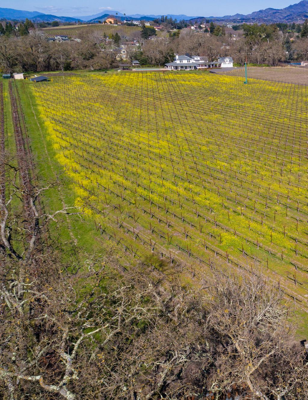 Vineyard Napa Valley AVA 12 +/- acres planted to Sauvignon Blanc 5 +/- acres replanted in 2018 Drip Irrigation Wind Machines for Frost Protection 8